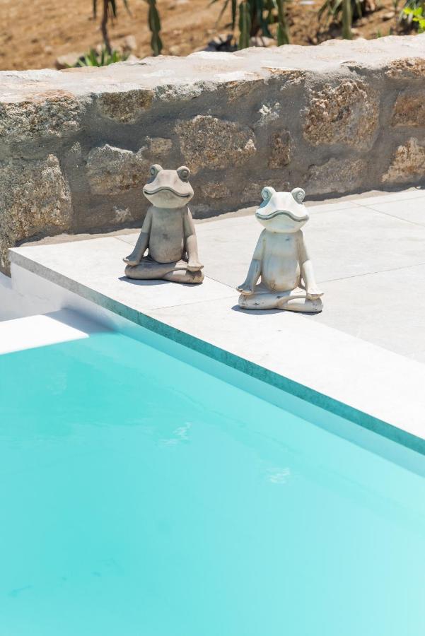 Dioni Villa Mykonos Paraga  Dış mekan fotoğraf