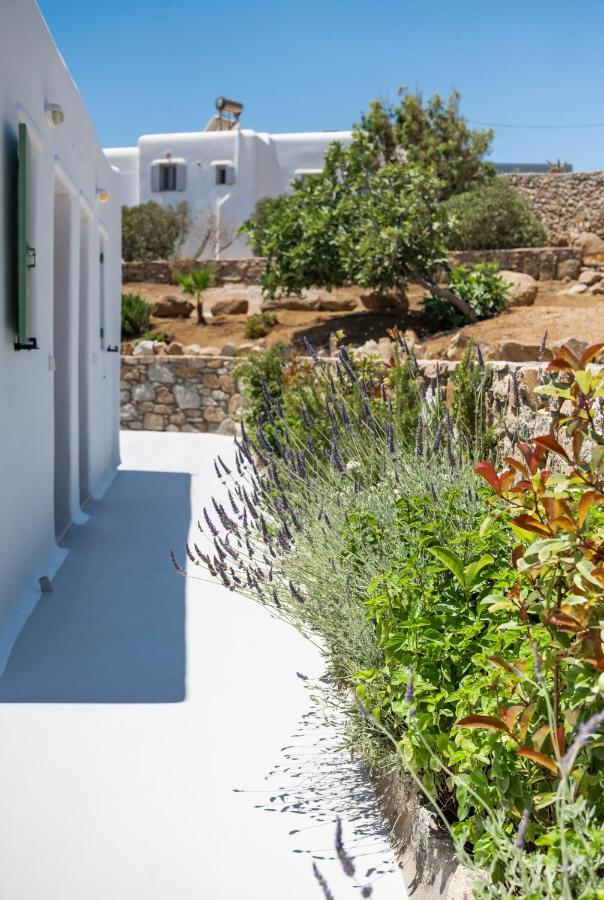 Dioni Villa Mykonos Paraga  Dış mekan fotoğraf